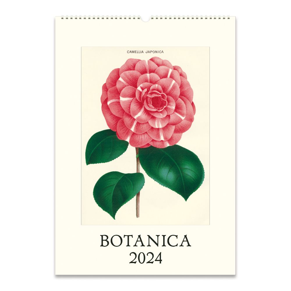 Cavallini & Co. Wall Calendar Botanica 2024 Epoche