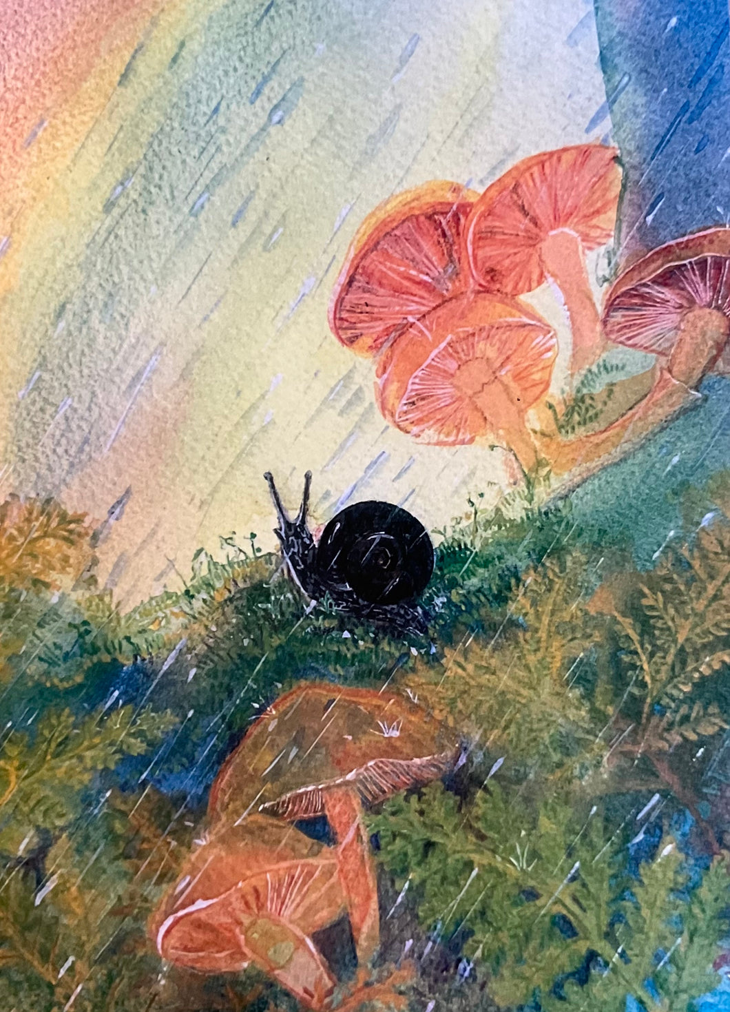 Brontë Doery Autumn Postcard - Otway Black Snail