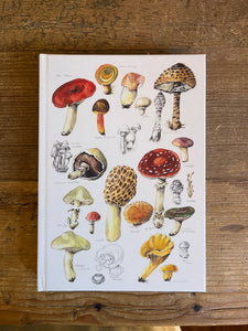 Nuovo Mushrooms by Anna Pignataro Lined Journal