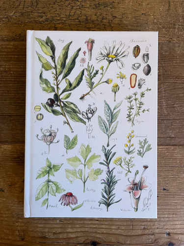 Nuovo Botanical by Anna Pignataro Unlined Journal