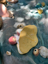 Load image into Gallery viewer, Tricia’s Felt Clam shell