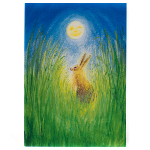 Postcard - The Hare & The Moon