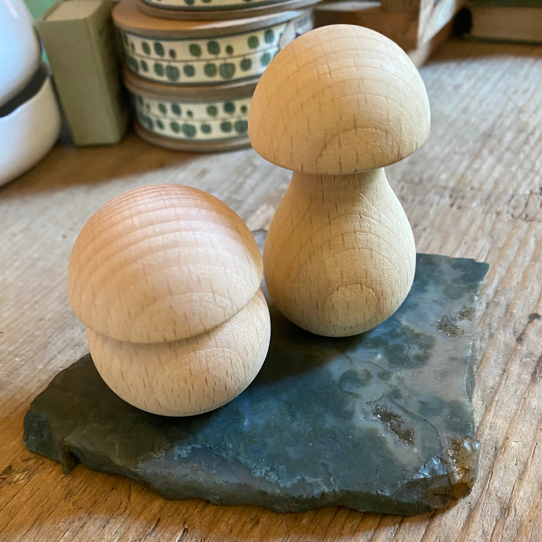 Natural toadstool base - assorted shapes