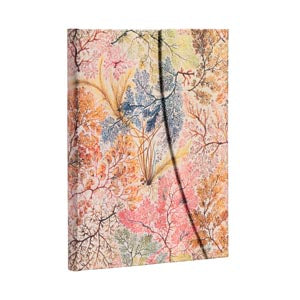 William Kilburn Anemone Journal (midi)