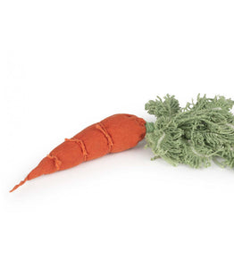 Oli & Carol Cathy the Carrot DIY Craft Kit